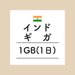 インド　1GB