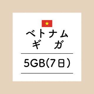 ベトナム　5GB